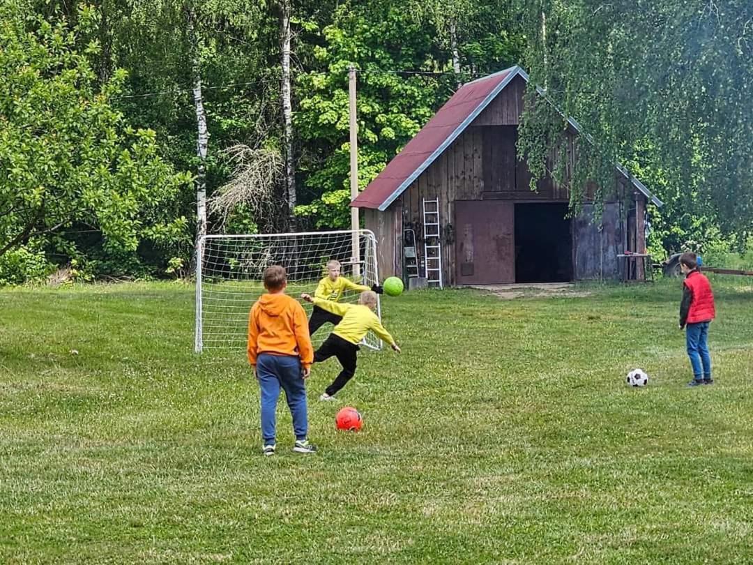 Vila Malinada-Kaimo Sodyba Salcininkai Exteriér fotografie